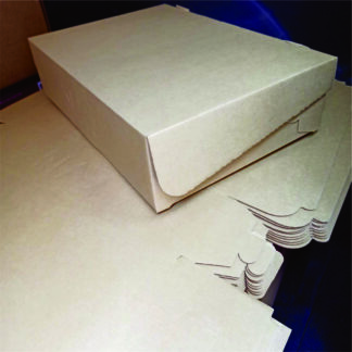 Cajas de Archivo especiales para almacenaje
