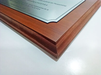 Placas Protocolares - Distinciones - grabado laser - Imagen 5